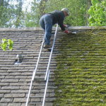 Jak na odstranění mechu ze střechy?