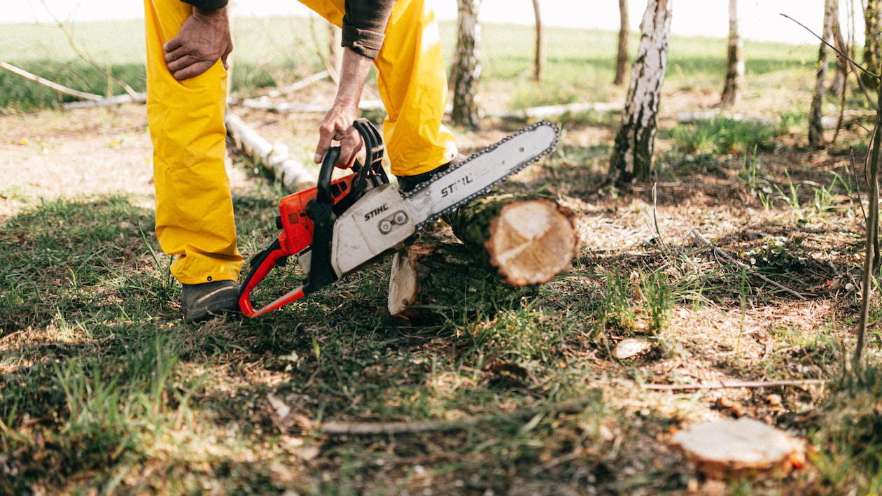 Bolí vás celé tělo z práce se dřevem na zahradě? Motorová pila Vám ji usnadní